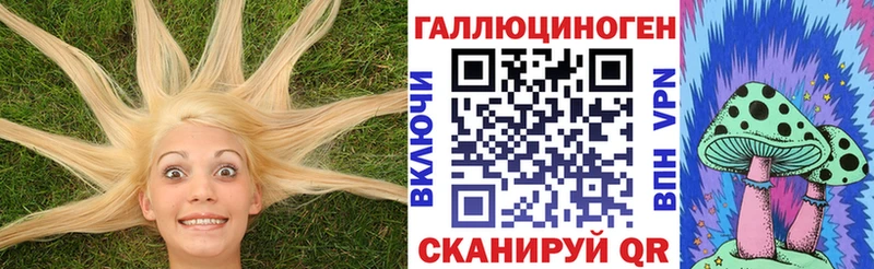 Псилоцибиновые грибы GOLDEN TEACHER  где купить   hydra маркетплейс  Черемхово 