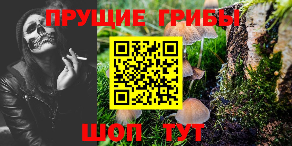Черемхово  Галлюциногенные грибы Psilocybe  Вход с VPN  Галлюциногенные грибы ЛСД 