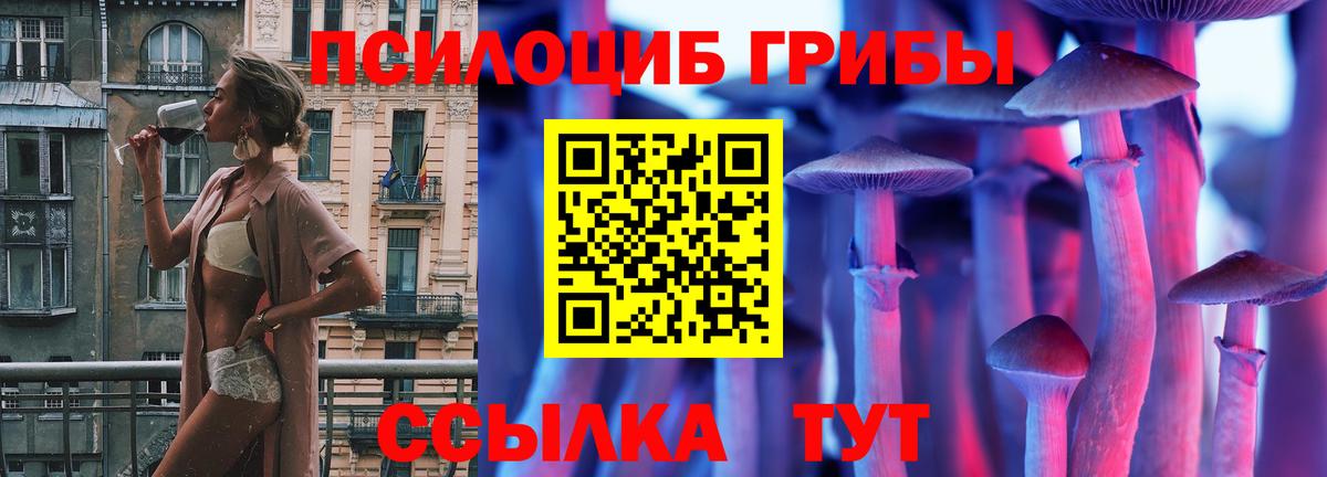 Псилоцибиновые грибы мицелий Черемхово